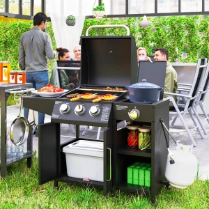 Gas Grill with Side Burner and Shelves